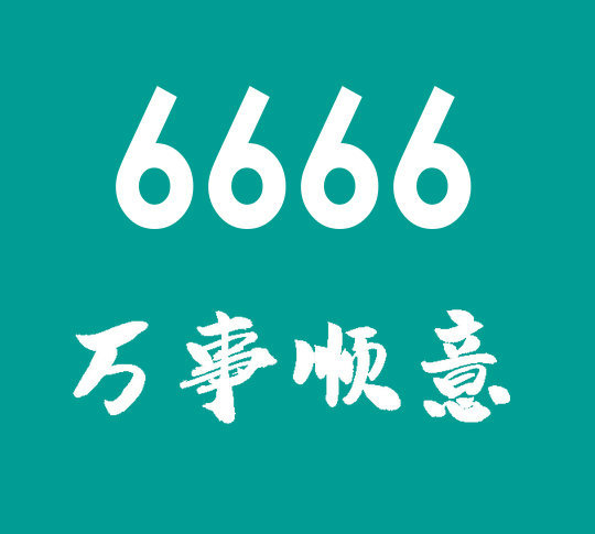 菏泽尾号6666吉祥号